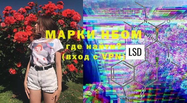 PSILOCYBIN Баксан