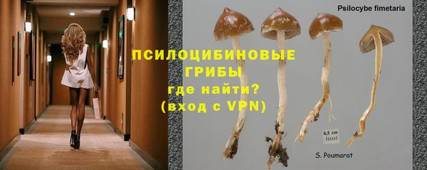 твердый Балабаново