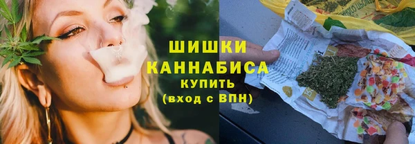 PSILOCYBIN Баксан