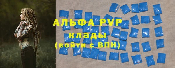 PSILOCYBIN Баксан