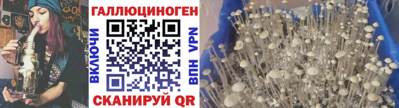 Псилоцибиновые грибы ЛСД  omg ССЫЛКА  Власиха 