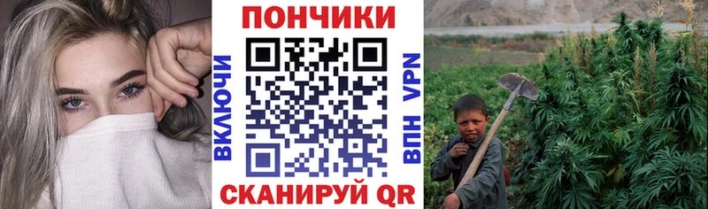 блэк спрут tor  где купить   Власиха  МАРИХУАНА MAZAR 